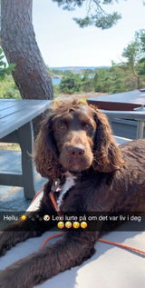 Gry E.H. review photo