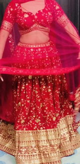 Ragini Singh review photo