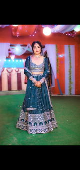 Dishu review photo