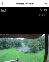 SJ review photo