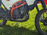 Trevor review photo