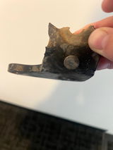 Anton R review photo