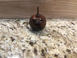 Douglas B. review photo