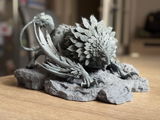 Przemek review photo