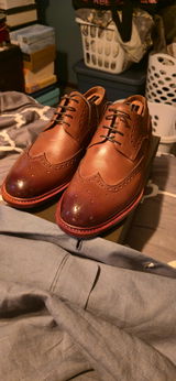 Nicholas Maggi review photo
