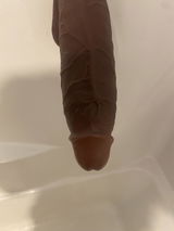 Trek review photo