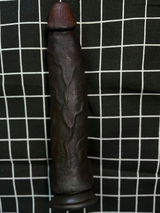 stacey review photo
