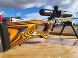Singleshot review photo