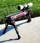 Singleshot review photo