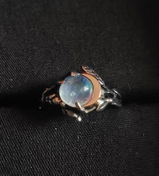 Dario D.L. review photo