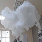 Sanne Weckx review photo