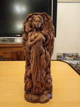 regis v. review photo