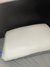 Alotaibi review photo