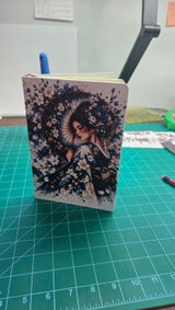 Absolutely thrilled. Sublimated beautifully, colours transferred true, so easy to assemble. review photo