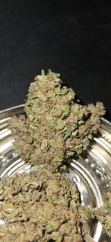 Anonyme review photo