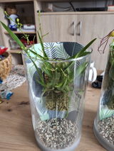 Elke Heim review photo