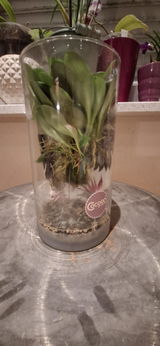 Andrea Schunn review photo