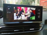 Yasin K. review photo
