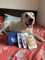 Arundhati P. review photo