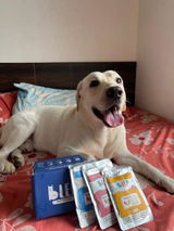 Arundhati P. review photo