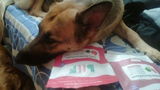 Sumita D. review photo