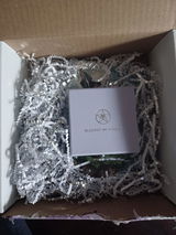 Andromeda Branch review photo