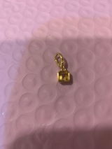 Brandi Babcock review photo