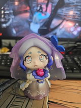 Minerva S.M. review photo