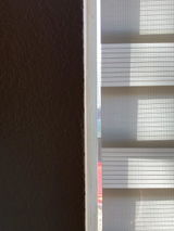 Brandon review photo