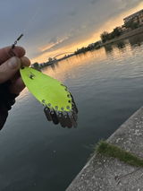 Viacheslav Taran review photo