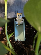 A.G. review photo