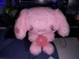 Valentina C. review photo