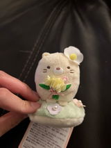 SC review photo