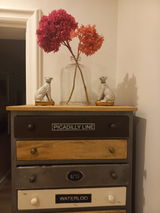 PRATTEN C. review photo