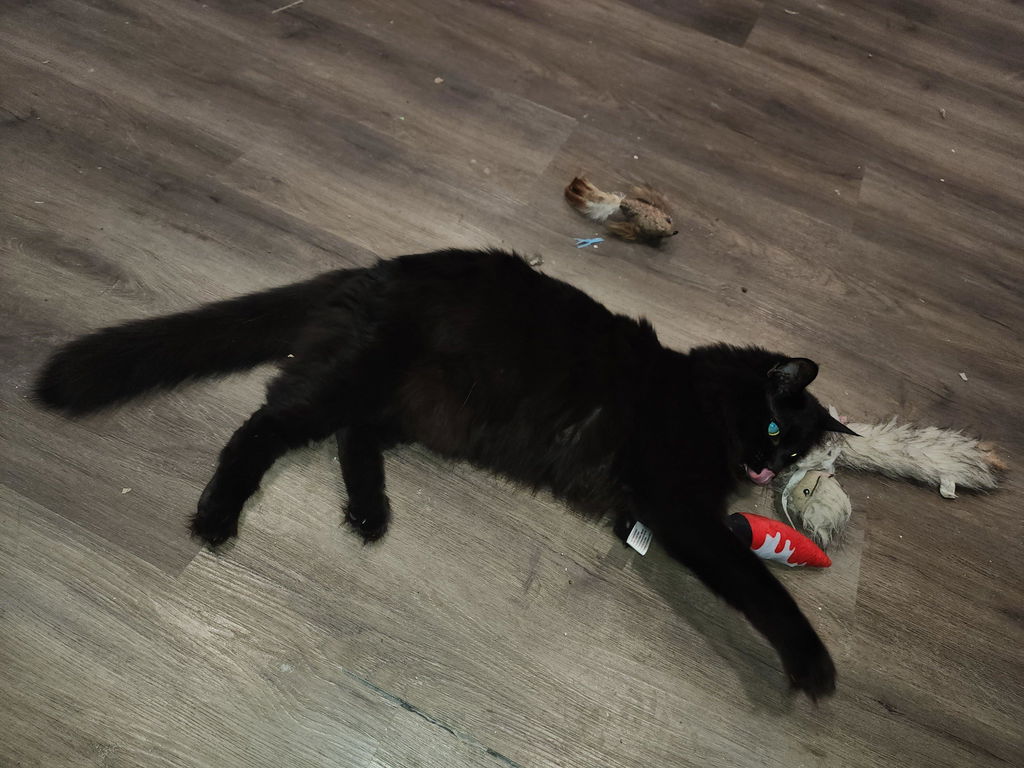 Bloody Knife Pet Toys