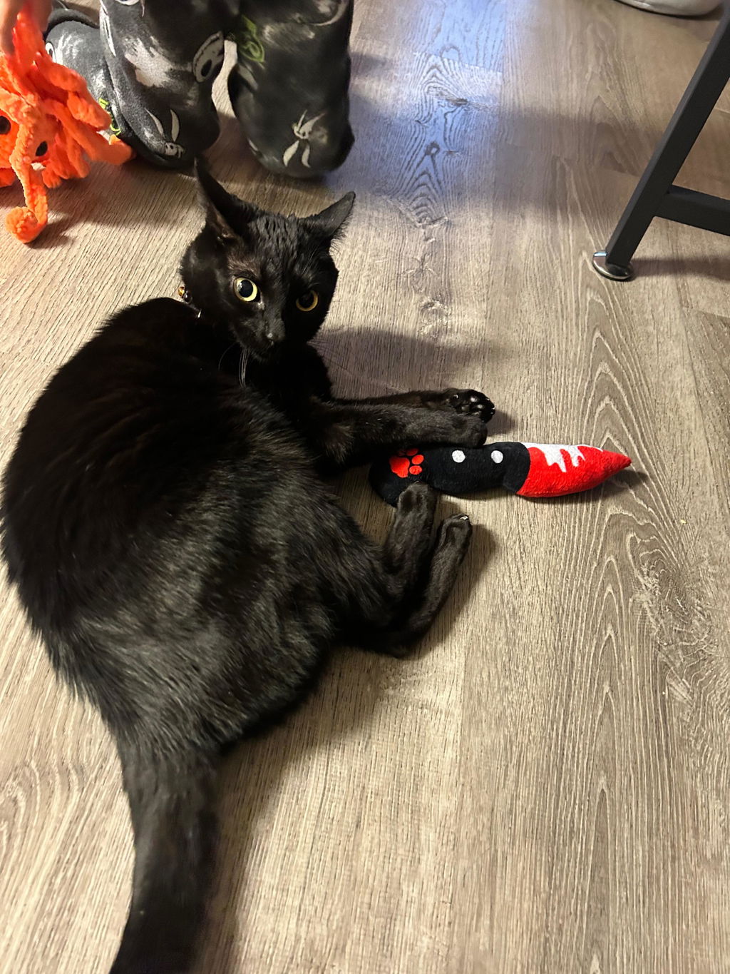 Bloody Knife Pet Toys