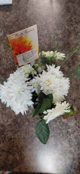 Nanita V.d.L. review photo