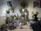 Theresa Yach review photo
