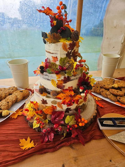 The wedding cake looked great on it. It ha...