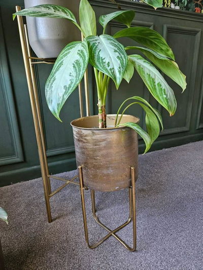 Lovely planter and really quick delivery