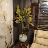 Brijesh Kumar Agarwal review photo