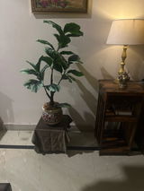 Adityavani review photo