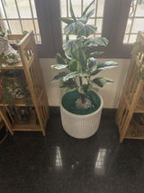 Swaminathan Dorairaj review photo