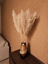 Cindy Vanheusden review photo