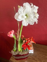 Donna S review photo