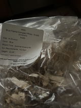 Mitchell g chapman review photo