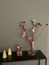 Daniela Castagna review photo