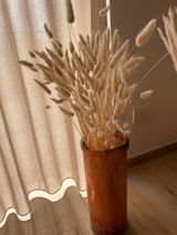 Chiara Mittica review photo