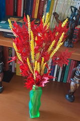 Pina Fiorillo review photo