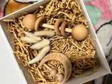 Alexxis D. review photo